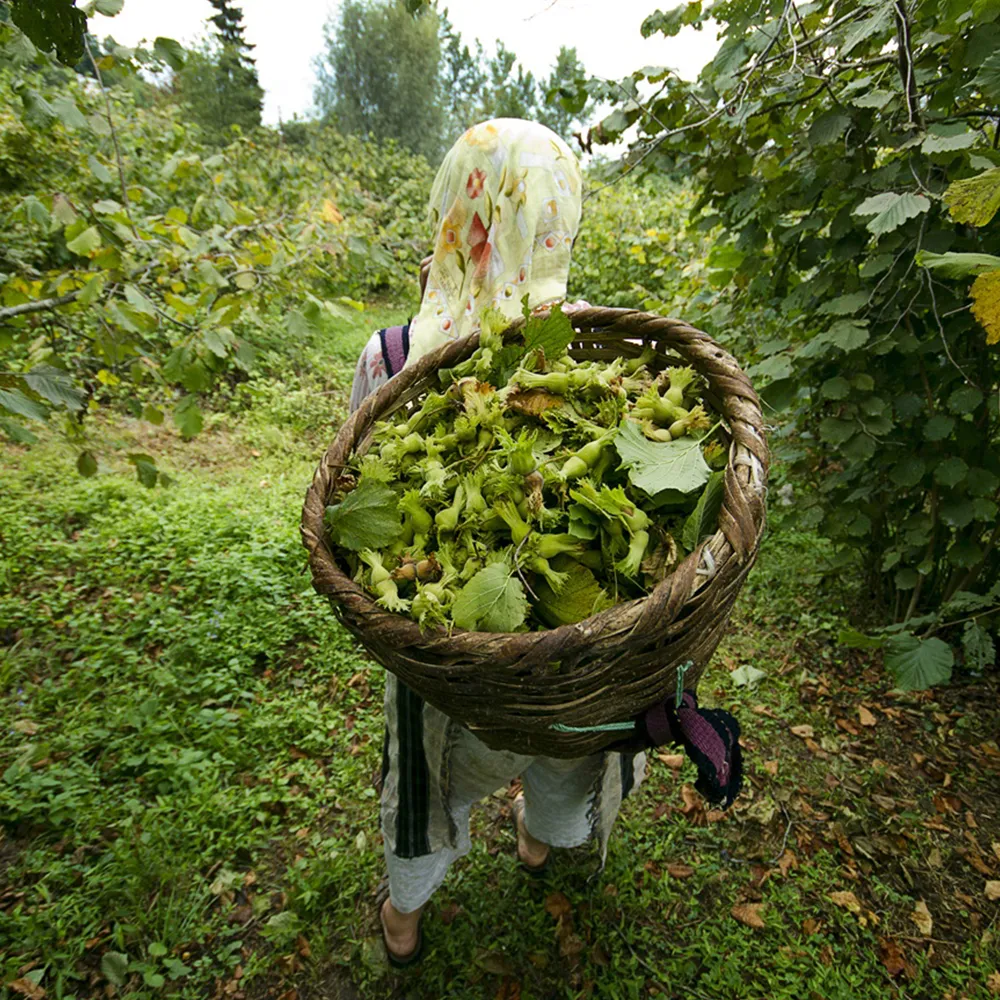 Experience the difference of fresh, naturally grown hazelnuts.