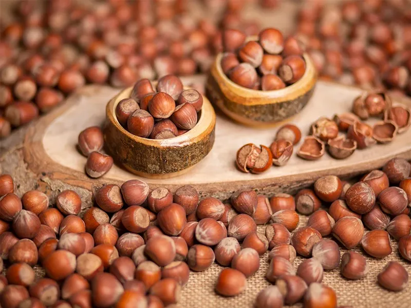 Fındık – Hazelnut