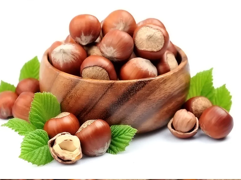 Fındık – Hazelnut1